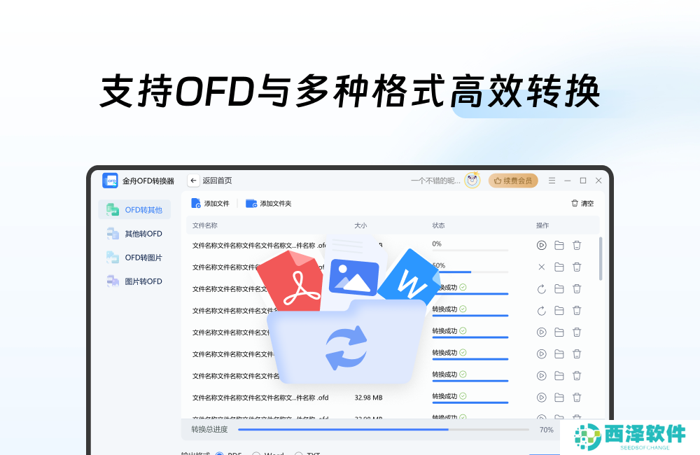 金舟OFD转换器