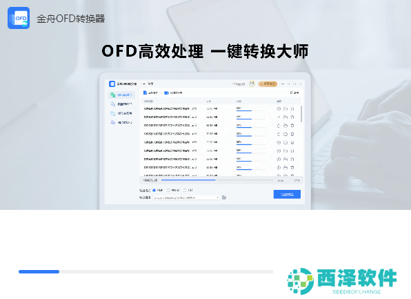 金舟OFD转换器