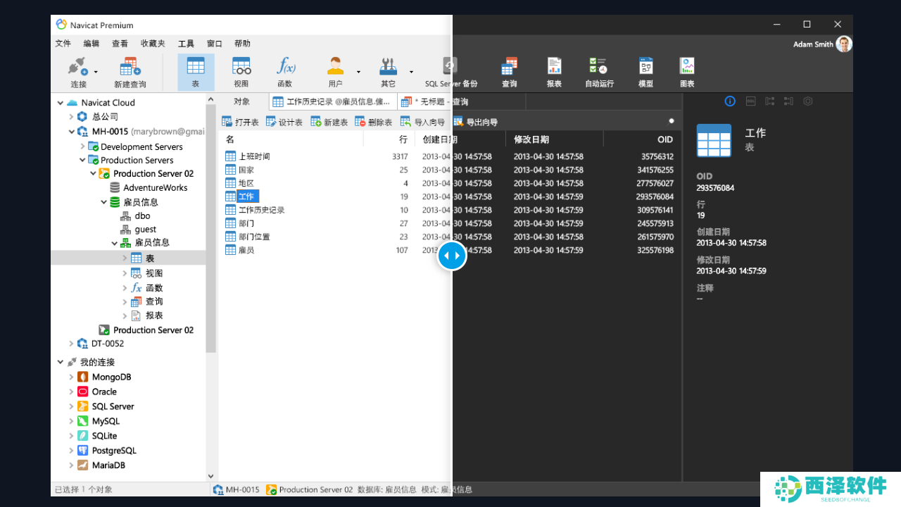 Navicat Premium 15升级版