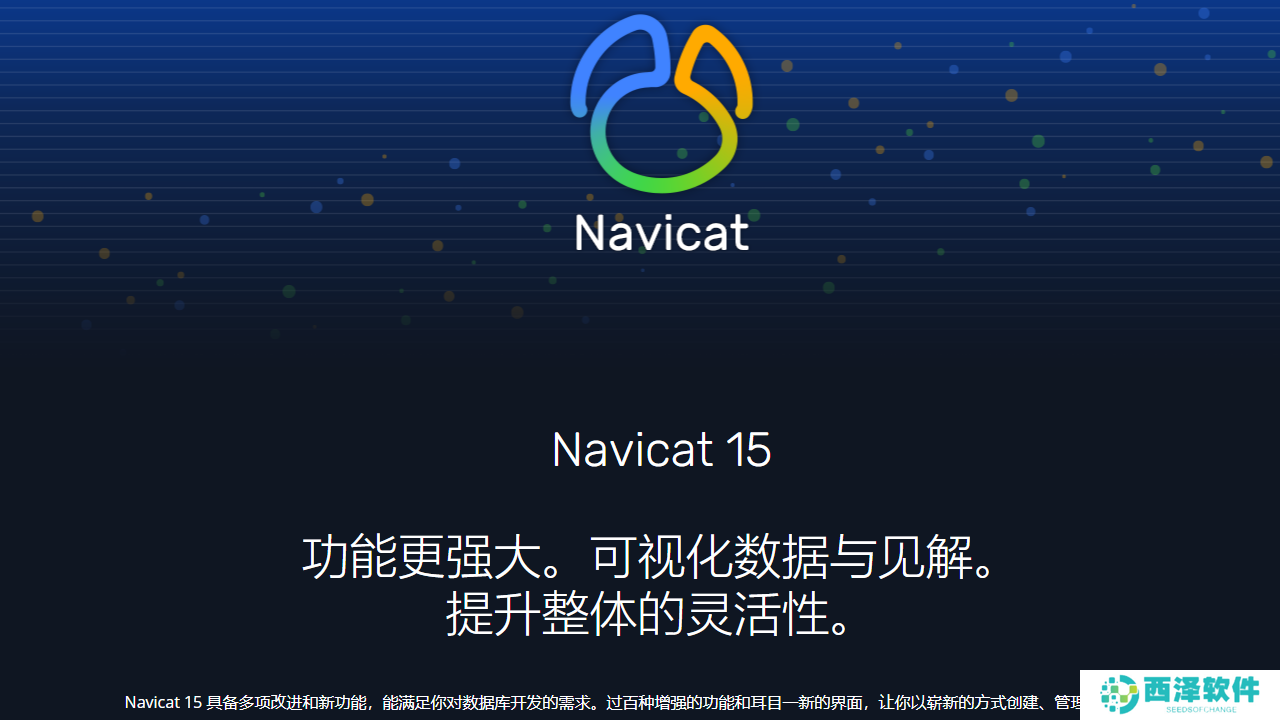 Navicat Premium 15升级版