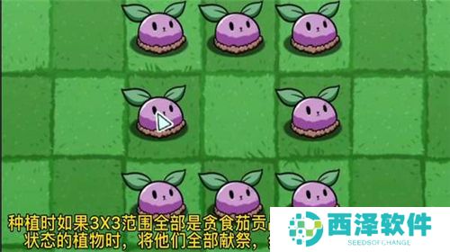 PVZBT我是僵尸