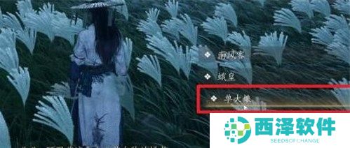 燕云十六声奇遇追光的人完成方法介绍