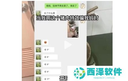 网络用语可能和我的家教有关吧是什么梗