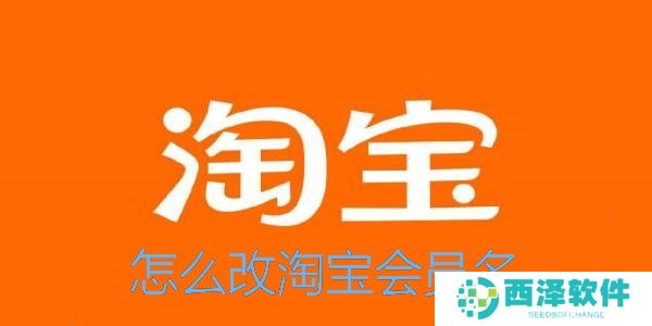 淘宝怎么改会员名