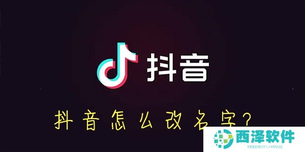 抖音怎么改名字