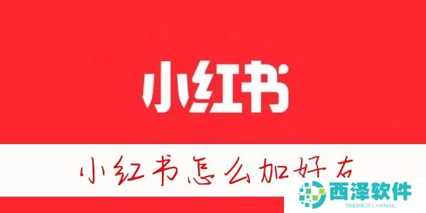 小红书怎么加好友