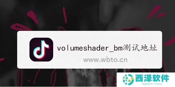 volumeshader_bm测试地址