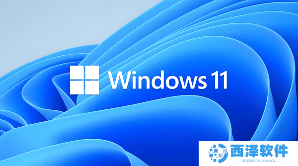 Windows 11来了！这些升级理由让你告别Windows 10