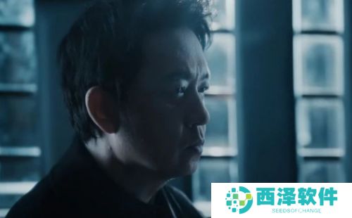 《白夜破晓》关宏宇遭遇不测，刘音被娃娃脸杀害，关宏峰高亚楠组建新家庭