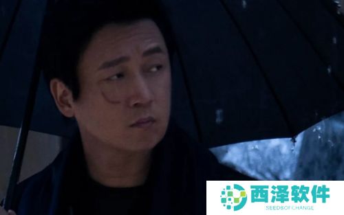 《白夜破晓》2.13案幕后主使现身，林嘉茵被害真相揭晓，剧情反转太惊人