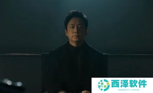 《白夜破晓》关宏宇遭遇不测，刘音被娃娃脸杀害，关宏峰高亚楠组建新家庭