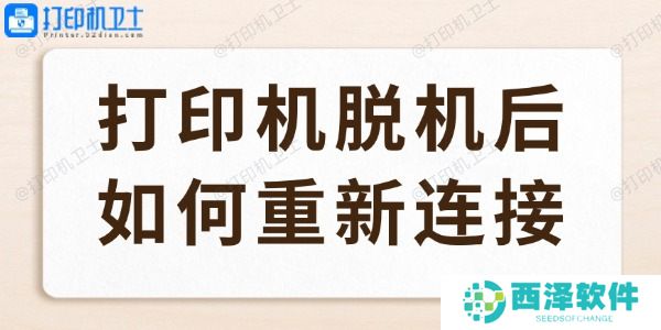 打印机脱机后如何重新连接 打印机脱机快速恢复的6种方法